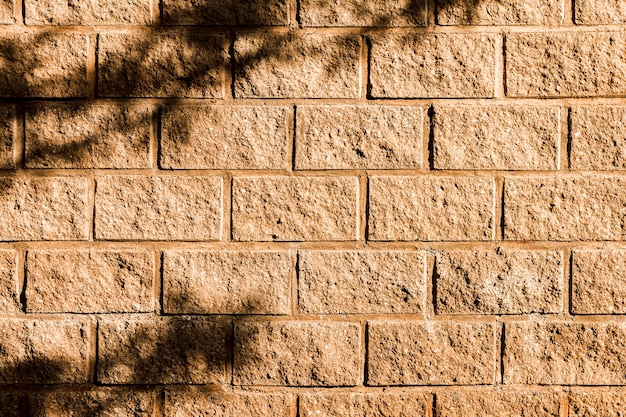 Free photo shadow of a tree on the brick wall