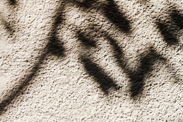 Shadow of a tree on the wall close-up