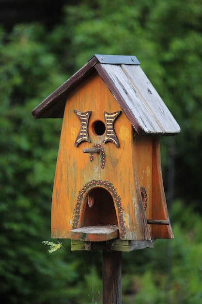 Free Photo shallow focus shot of a cute birdhouse