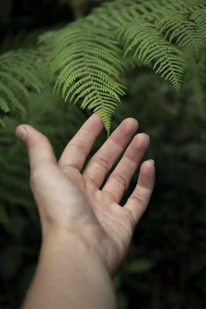 Shallow focus shot of a hand approaching a vibrant plant