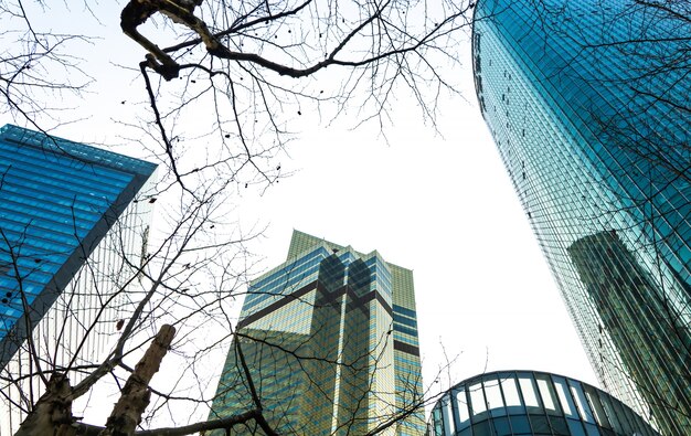 Shanghai Lujiazui business district