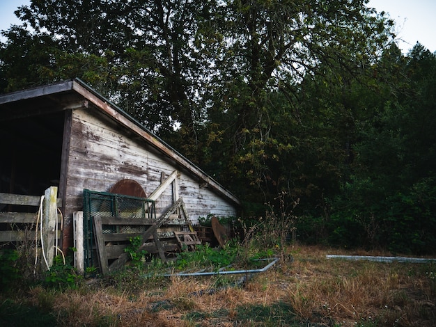 The shed at Project Ember