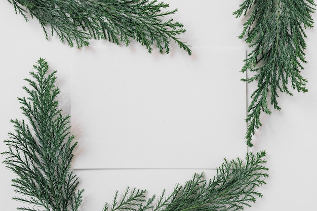 Free photo sheet of paper with cypress branches on table