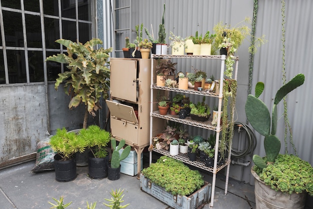 Shelves full of flowerpots