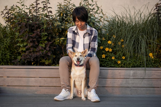 Shiba inu dog taking a walk