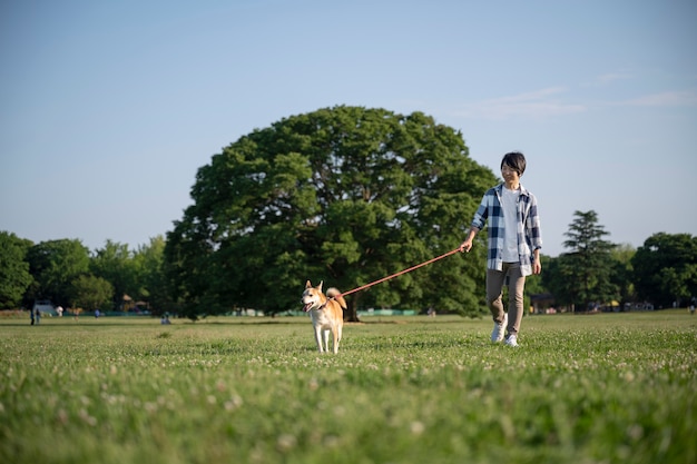 Shiba inu dog taking a walk