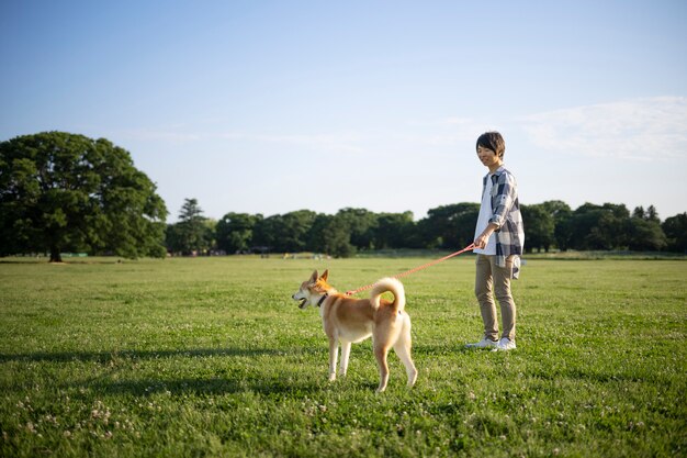 Shiba inu dog taking a walk