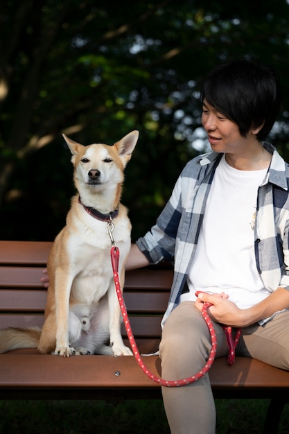 Shiba inu dog taking a walk