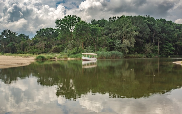 Ship near a coast with dense forest