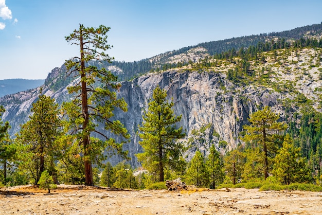 Shot of the picturesque nature of the Yosemite National Park