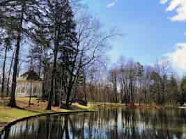 Free photo shot of the trees and an arbor on the shore of the lake in jelenia góra, poland.