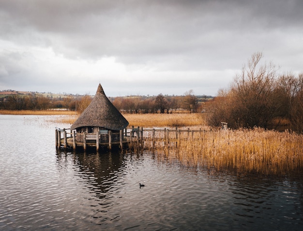 Shot of a wooden hut built on the lake surrounded by brown river cane