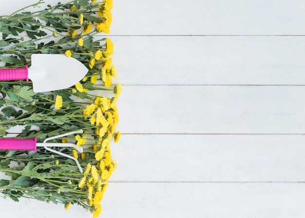 Shovel and rake on yellow flowers