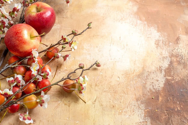 Free Photo side close-up view fruits the appetizing cherry and apples tree branches with flowers