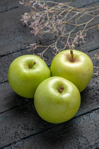 Side close-up view three apples green apples on dark background next to branches