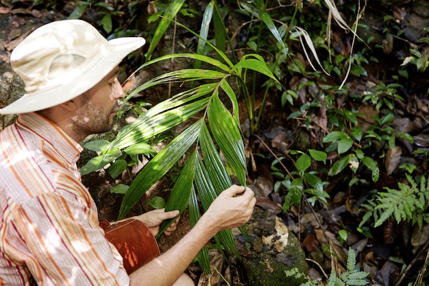 Free photo side portrait of middle aged caucasian ecologist with briefcase studying leaves of green exotic plant while conducting environmental studies outdoors, exploring nature conditions in rainforest