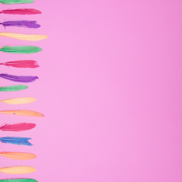 Side row of colorful soft feathers against pink backdrop