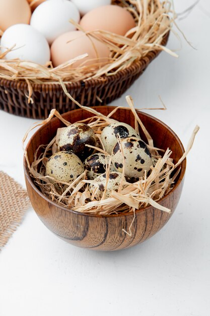 Side view of bowl full of eggs in nest on white background