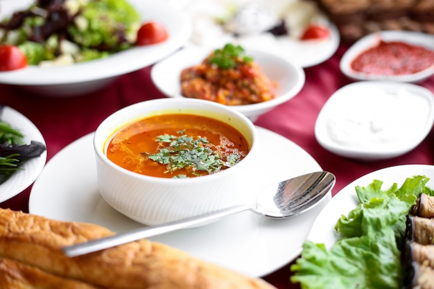 Side view chicken broth soup with bread on a served table