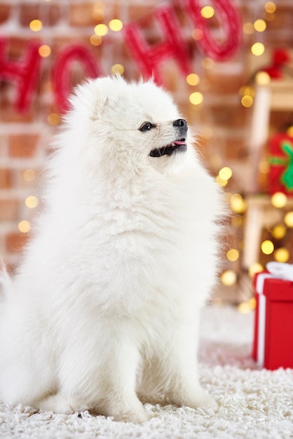 Free photo side view of cute puppy looking up