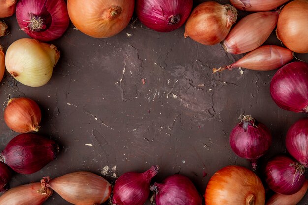 Side view of different types of onions on maroon background with copy space