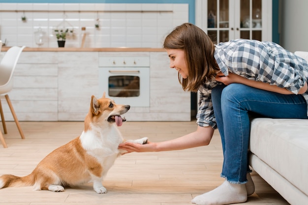 Side view of dog giving paw to owner