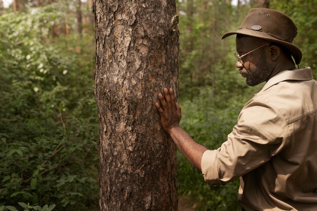 Side view forest warden looking at tree