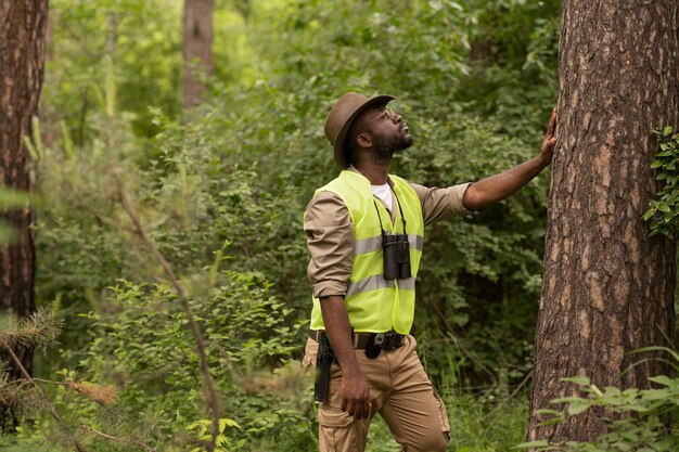 Side view forest warden looking at tree