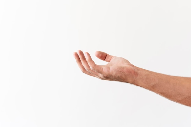 Side view of hand asking for food donations