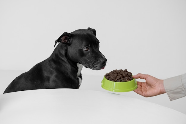 Free photo side view hand holding dog food bowl