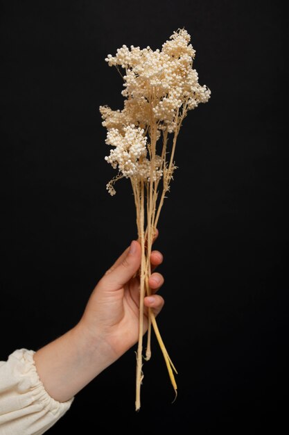 Side view hand holding dried plants