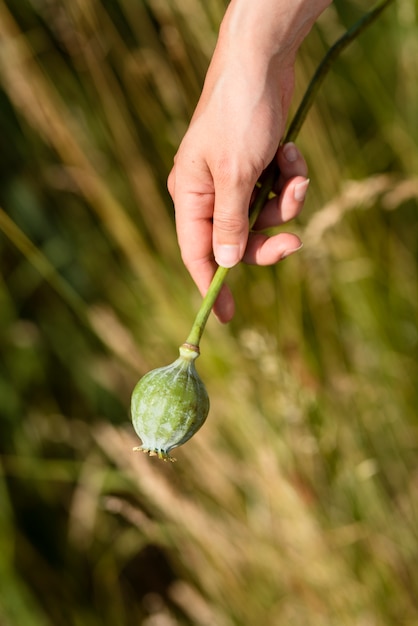 Free photo side view hand holding flower