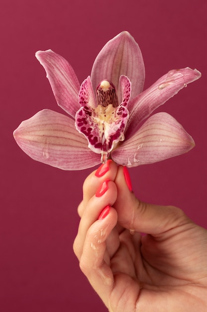 Free photo side view hand holding  orchid