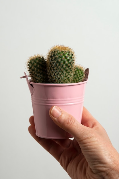 Side view hand posing with cactus