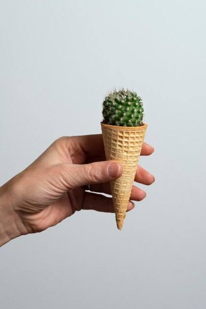 Side view hand posing with cactus