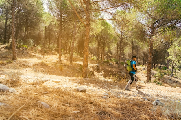 Side view of hiker in forest