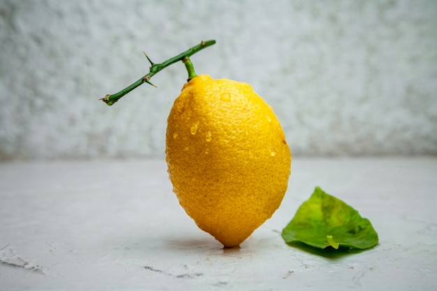 Free Photo side view lemon with branch with a leaf on white textured background. horizontal