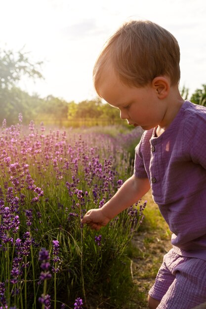 Side view little kid in lavender field