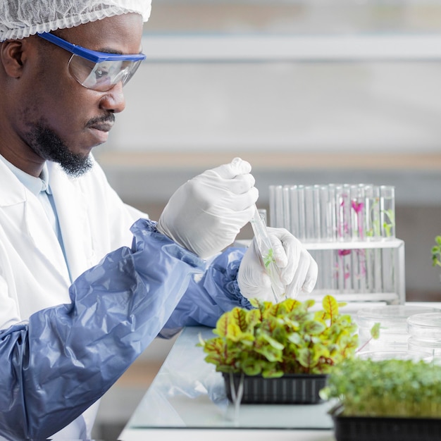 Free photo side view of male researcher in the biotechnology laboratory with plant