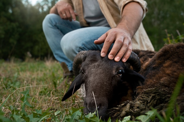 Free Photo side view man petting sheep