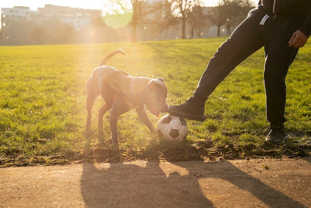 Free photo side view man playing with dog outdoors