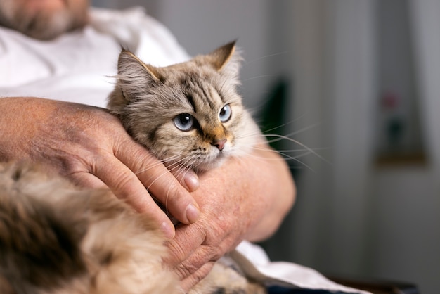 Free Photo side view old man petting cat