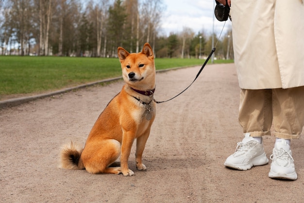 Side view owner and cute dog