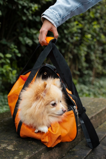 Side view owner holding bag with dog