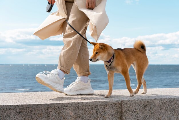 Side view owner walking with dog