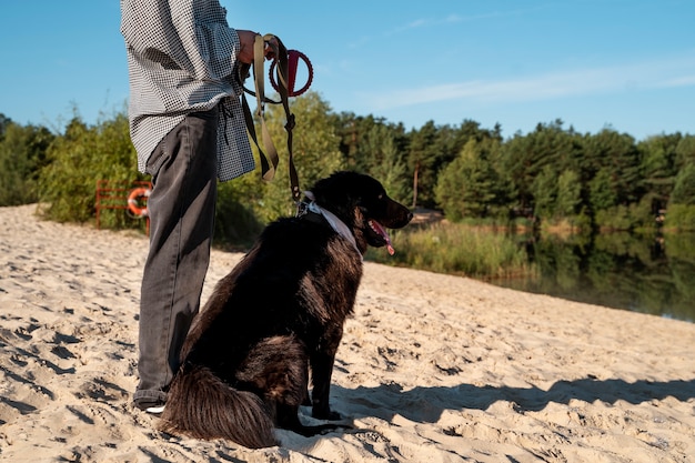 Side view owner with dog at beach