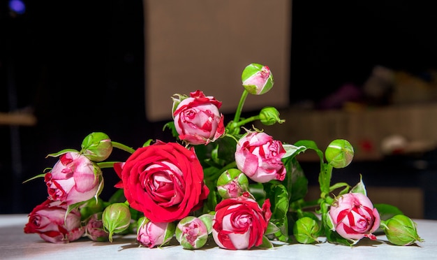 Side view of red roses with buds and green leaves on white background