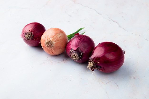 Side view of red and yellow onions on white background with copy space