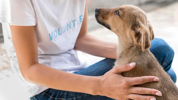 Free Photo side view of rescue dog loving the affection receives from woman at shelter