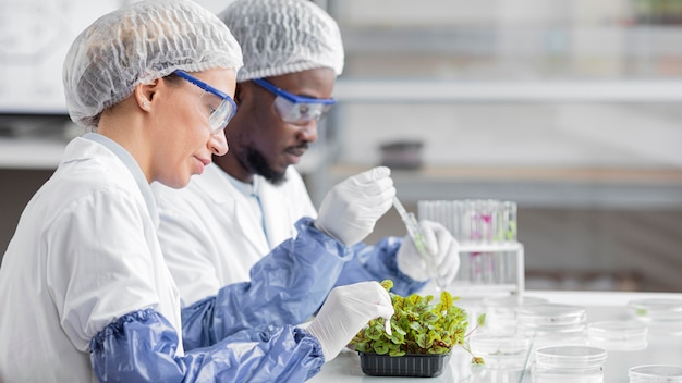 Free photo side view of researchers in the biotechnology laboratory with plant